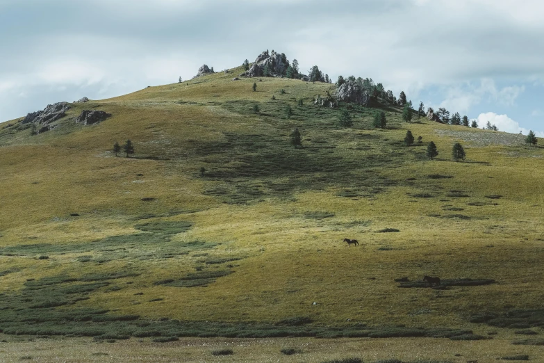 a hillside with trees on top that has been cleared