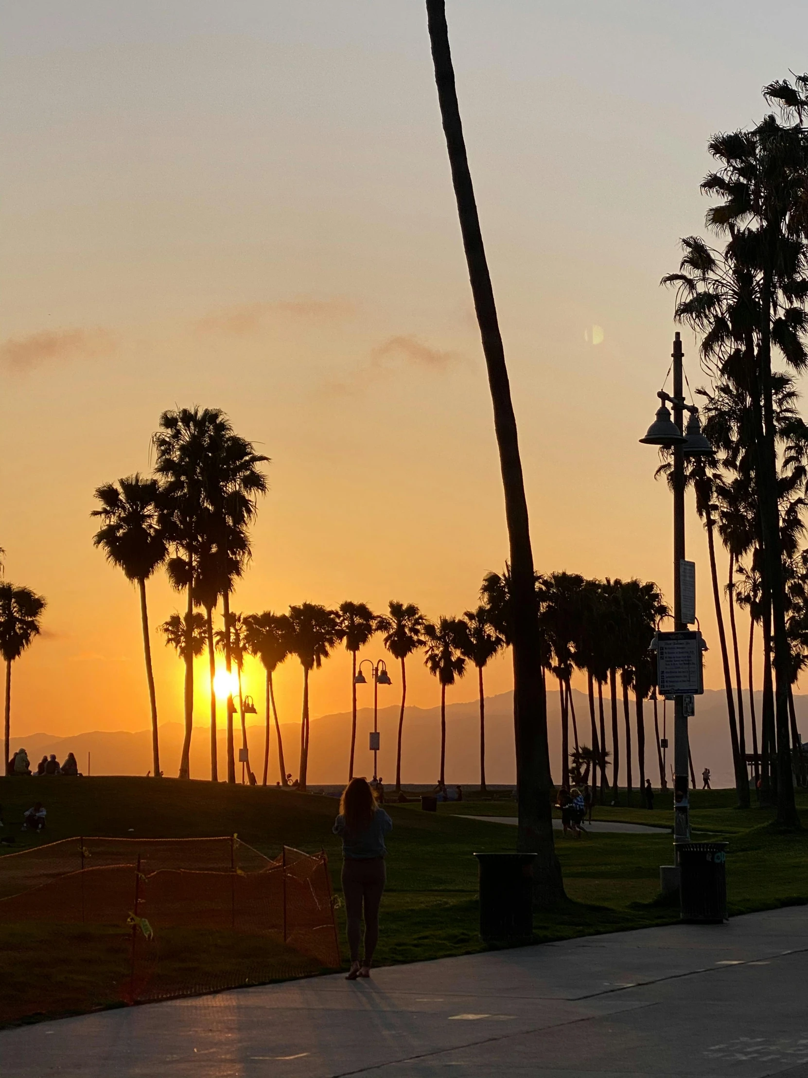 a man riding a skateboard down a sidewalk next to palm trees, which shows a beach at sunset, ((sunset)), jc park, 🚿🗝📝