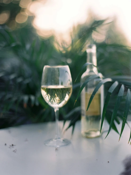 a glass of wine sitting on top of a table