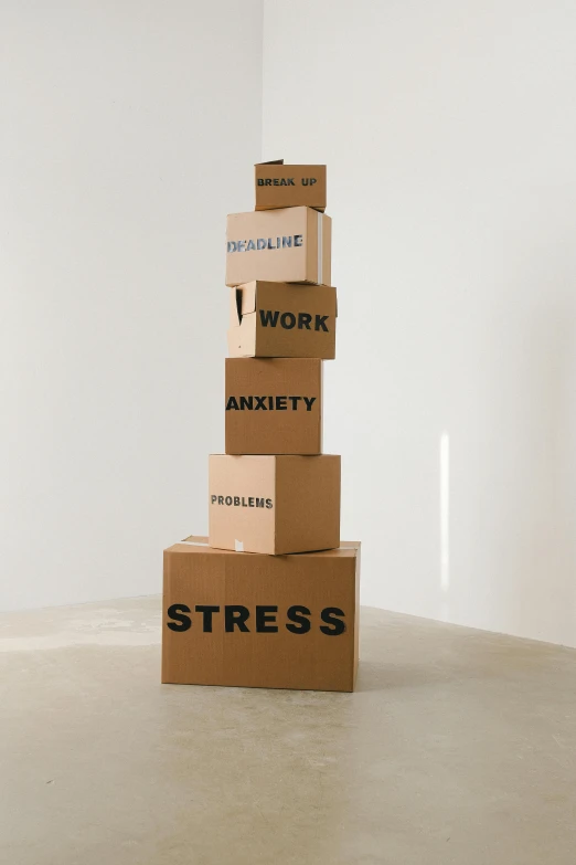 a stack of boxes sitting on top of each other, an abstract sculpture, inspired by Sarah Lucas, trending on pexels, stressed out, labeled, stress, full product shot