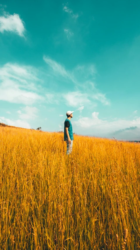 a man standing in a wheat field on a clear day