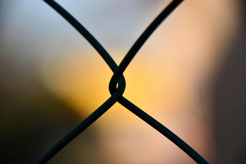 a close up of a wire fence with a blurry background, a picture, by Niko Henrichon, trending on pexels, golden hour 8k, soft light - n 9, taken on iphone 14 pro, multicoloured