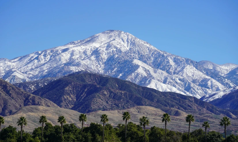 mountains covered in snow and palm trees under a blue sky