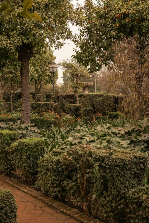 a bench sits in the middle of some greenery