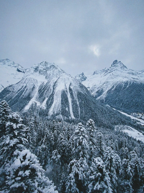 several evergreen trees are snow covered on top of the mountain