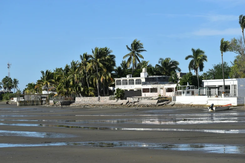 some houses and palm trees on the side of the water