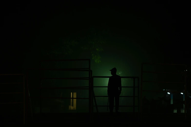 a man standing next to a fence at night, inspired by Gregory Crewdson, pexels contest winner, black and green, green mist, farmer, human silhouette