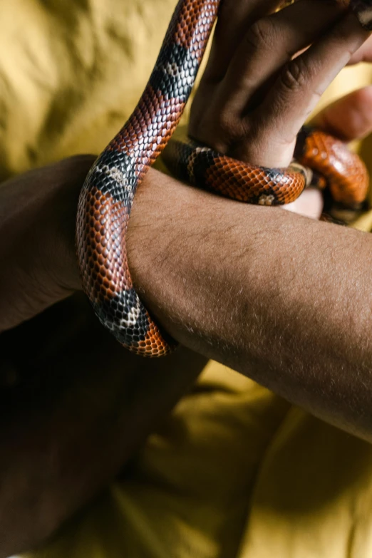 a close up of a person holding a snake, bracelets, striking colour, reptil, 35mm print