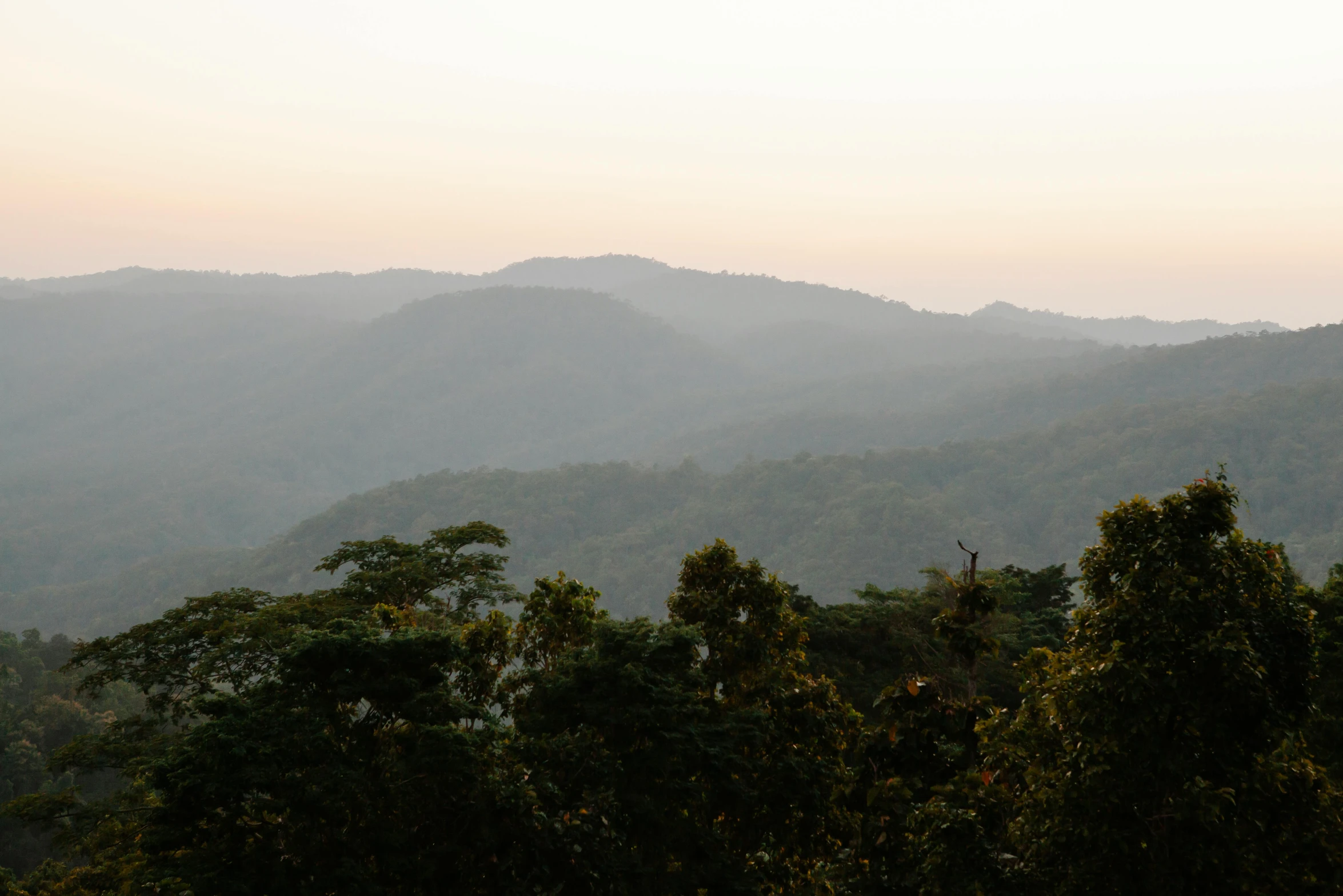 a view of the mountains from the top of a hill, by Peter Churcher, sumatraism, in a sunset haze, in jungle forest peak, assamese aesthetic, as seen from the canopy