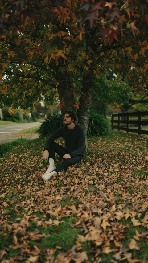 a man sitting under a tree in leaves