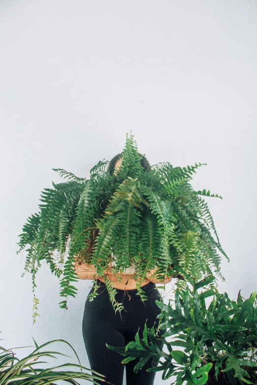 a woman holding a potted plant in front of a white wall, inspired by Kanō Tan'yū, trending on unsplash, wreath of ferns, panoramic shot, 1 6 x 1 6, mid 2 0's female