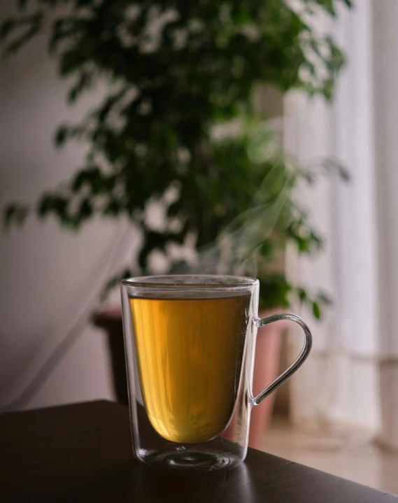 a cup of tea on a table next to a potted plant, unsplash, photorealism, 🍸🍋, backlighted, multiple stories, portrait shot 8 k