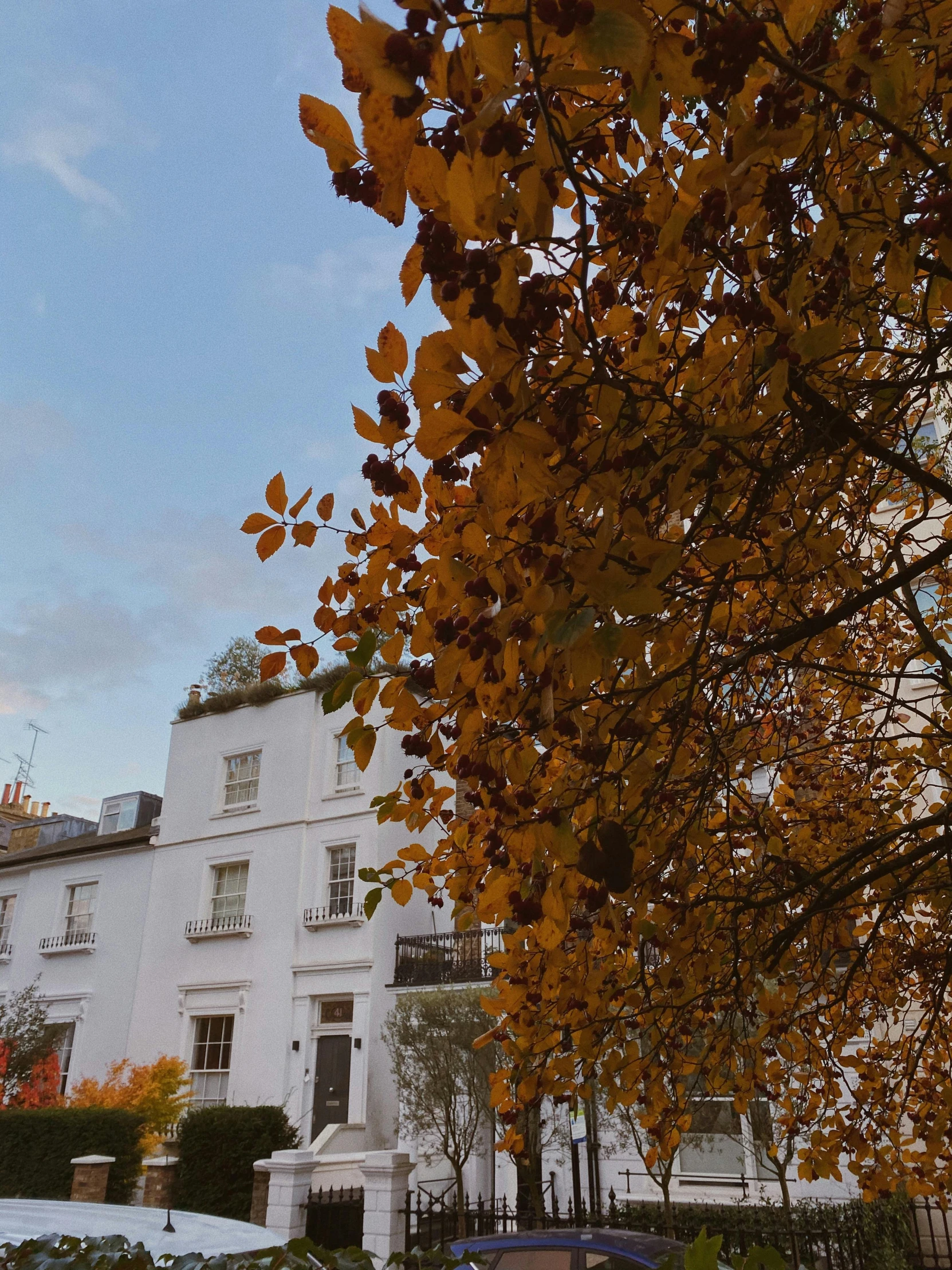 a clock that is on the side of a building, during autumn, white houses, amongst foliage, london architecture