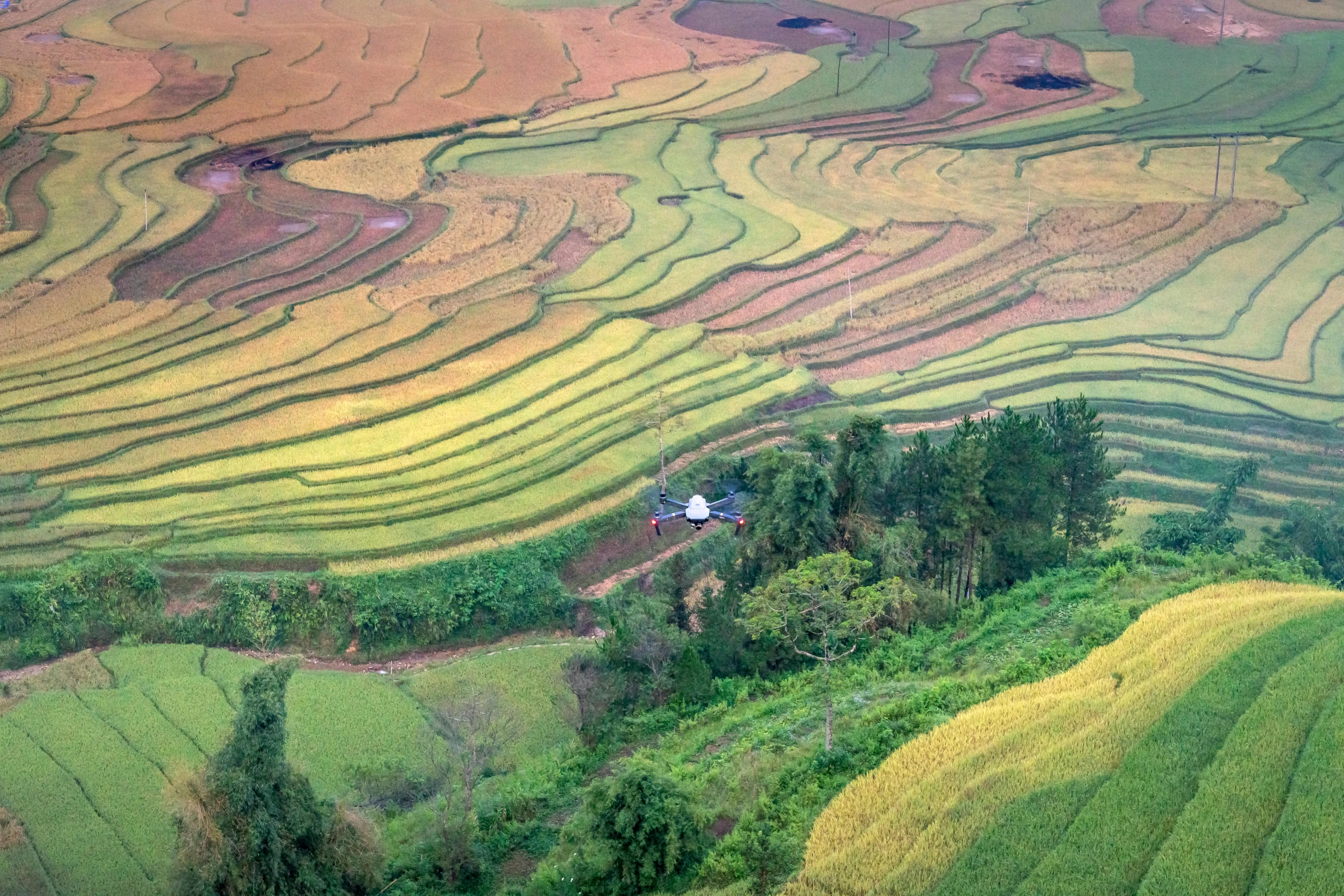 a group of people standing on top of a lush green field, pexels contest winner, land art, vietnam, full of colours, hut, looking down at the valley