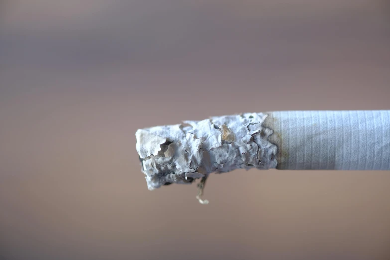 a torn cigarette next to a pipe that is grey