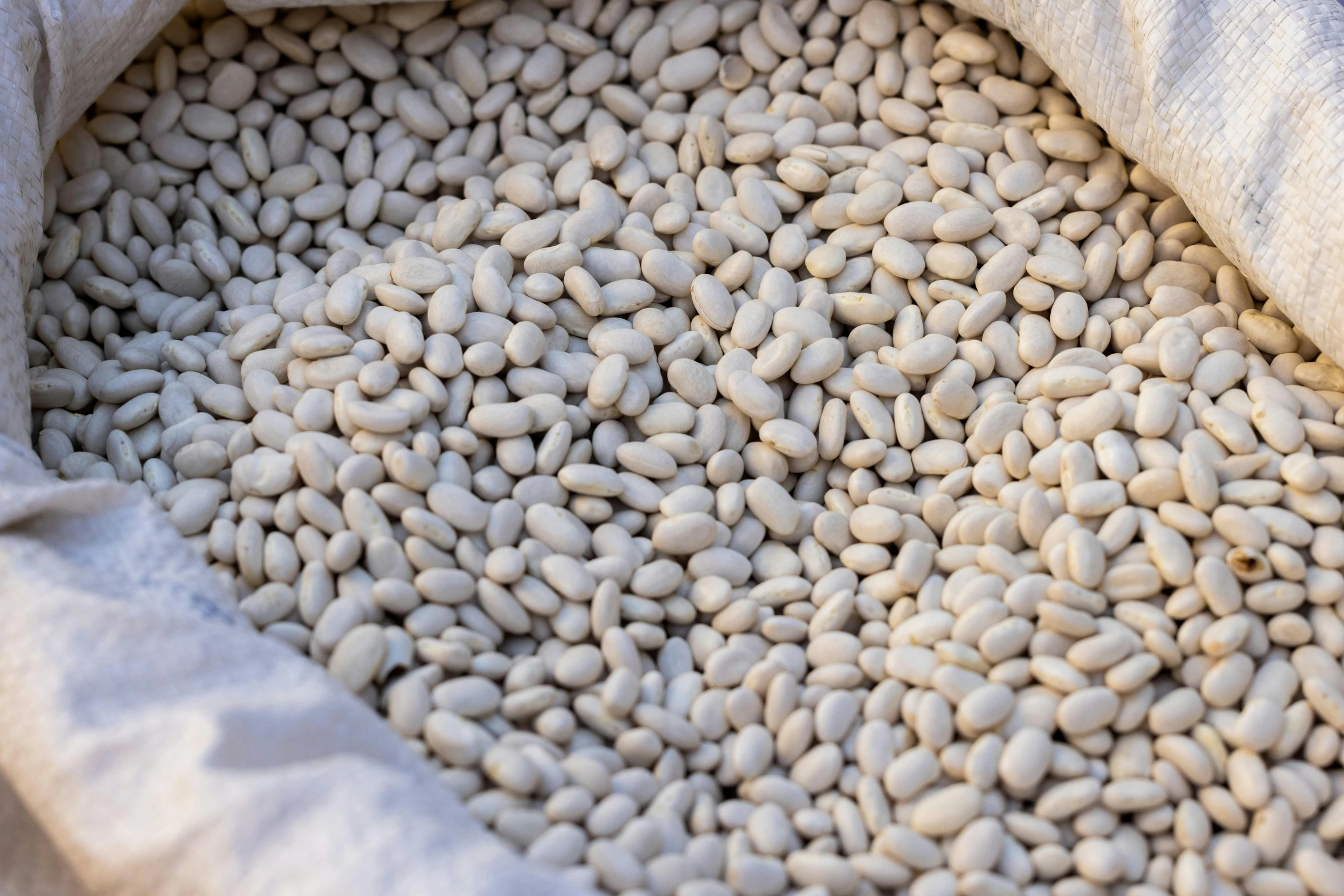 a bag filled with white beans sitting on top of a table, by Giorgio De Vincenzi, unsplash, process art, coral-like pebbles, thick lining, zoomed in, market