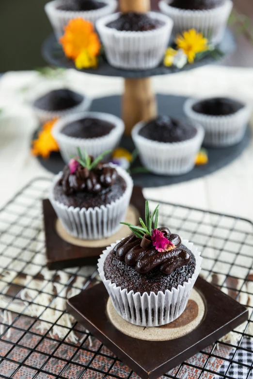 a couple of cupcakes sitting on top of a cooling rack, a portrait, by Bernardino Mei, edible flowers, all black matte product, chocolate. rugged, full face view