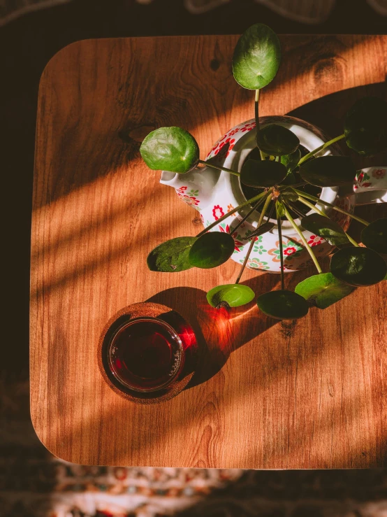 a glass of wine sitting on top of a wooden table, inspired by Elsa Bleda, trending on unsplash, process art, green and red plants, is ((drinking a cup of tea)), low detail, houseplant