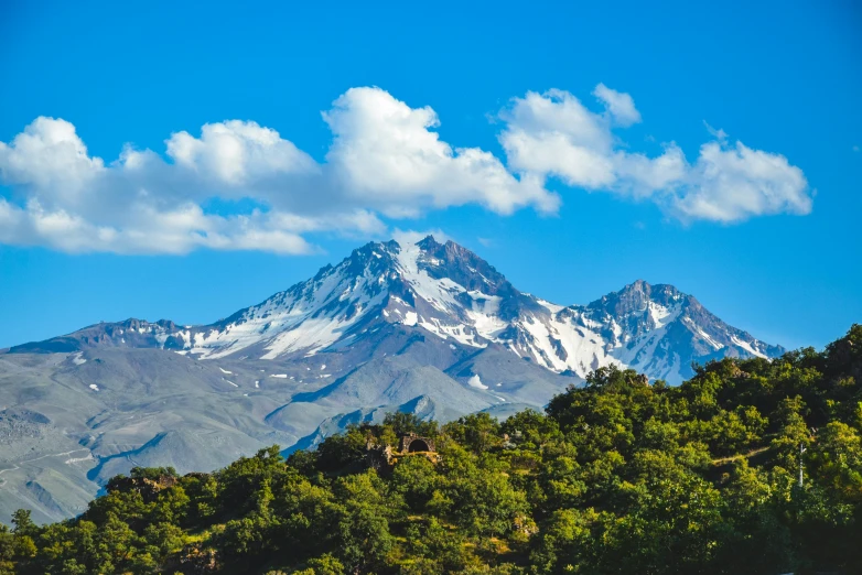 a mountain and trees covered with snow during the day