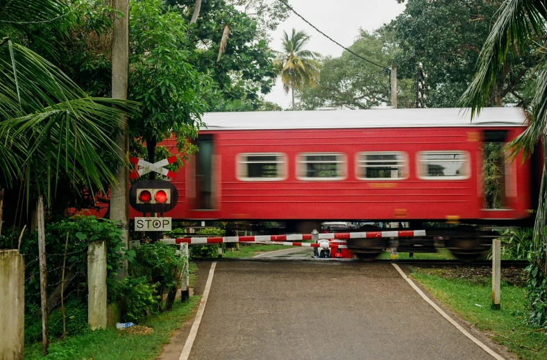 a red train traveling down train tracks next to a lush green forest, hurufiyya, colombo sri lankan city street, dezeen, stop sign, conde nast traveler photo