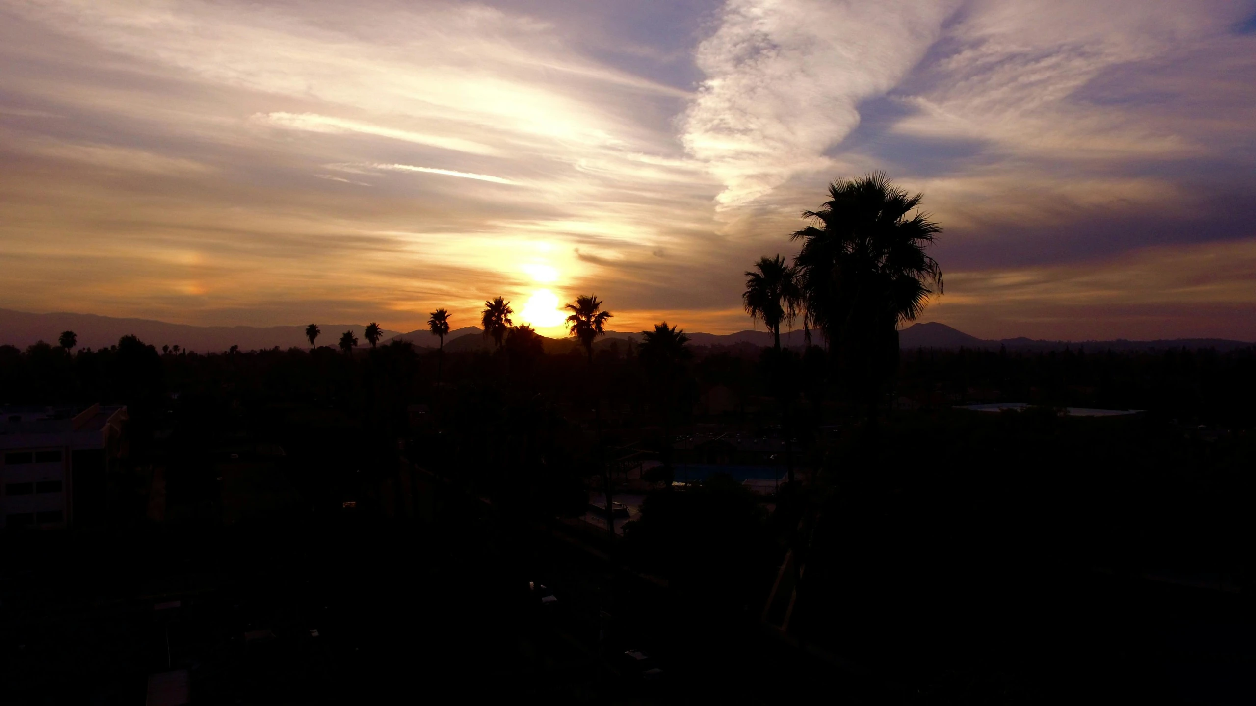 a view of a sunset with palm trees in the foreground, a picture, happening, westside, from the roof, landscape photo, suns