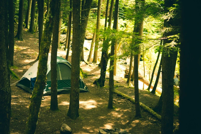 a tent sitting in the middle of a forest, a photo, hemlocks, fan favorite, sloped site, well shaded