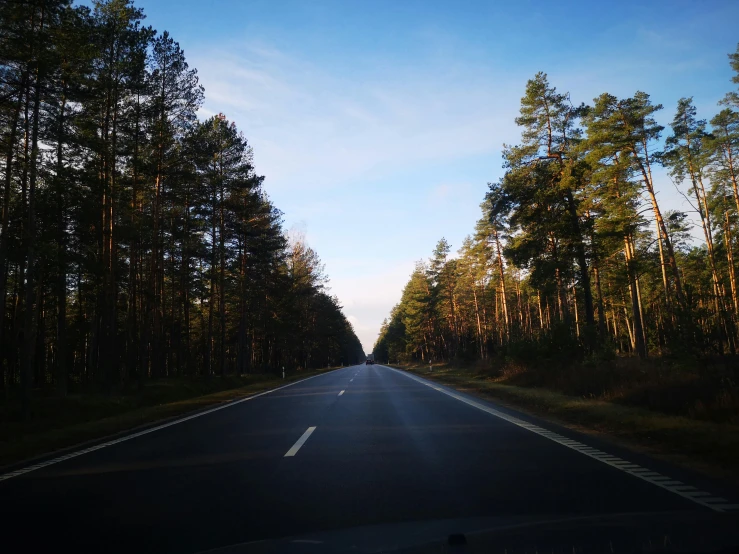 a car driving down a road in the middle of a forest, by Grytė Pintukaitė, unsplash, hurufiyya, clear skies in the distance, high forehead, iphone picture, hunting