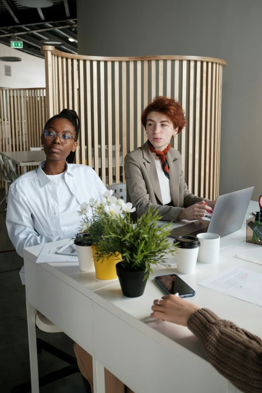 a group of people sitting around a table with laptops, pexels, wearing lab coat and a blouse, two women, hr ginger, androgynous person