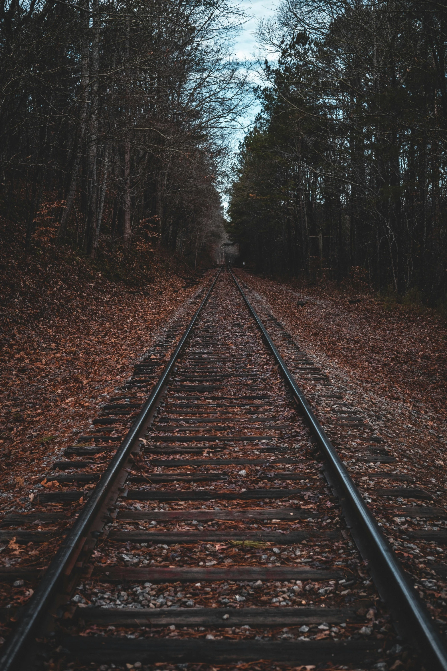 a train track in the middle of a forest, an album cover, by Carey Morris, unsplash contest winner, realism, southern gothic, instagram story, blank, profile pic