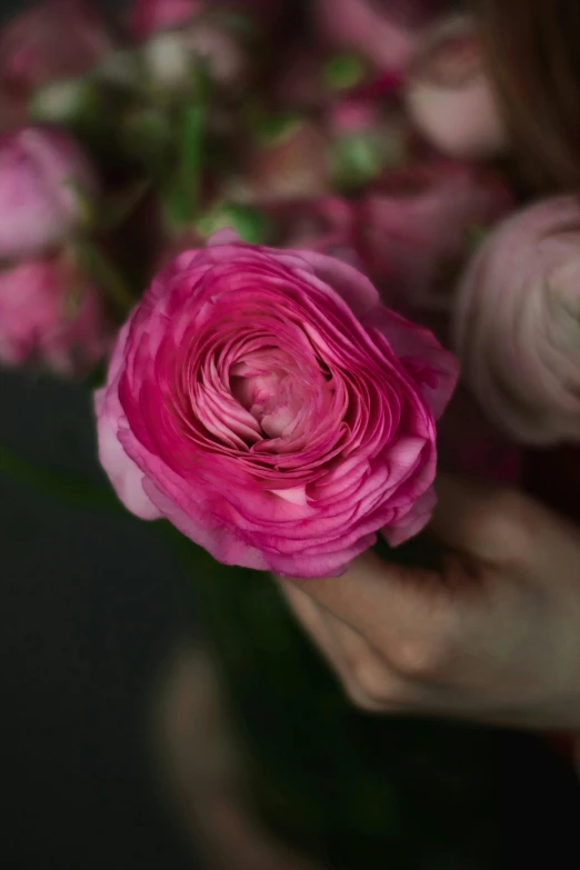 a woman holding a bunch of pink flowers, inspired by Pierre-Joseph Redouté, unsplash, detail shot, natural point rose', handcrafted, magenta