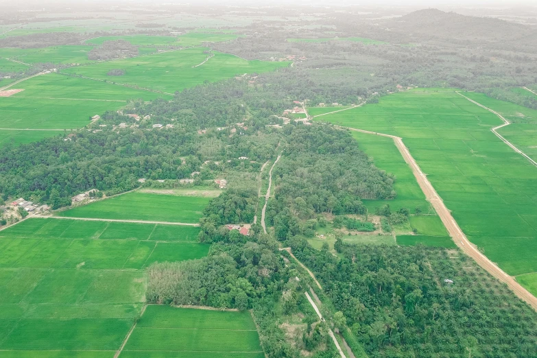 an aerial view of a lush green field, pexels contest winner, hurufiyya, cambodia, historical photo, looking sideway, area 3