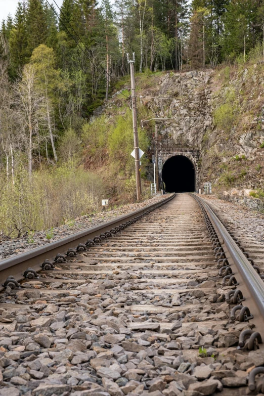 a train is coming out of a tunnel, by Everett Warner, unsplash, 2 5 6 x 2 5 6 pixels, warm spring, haunted, where a large