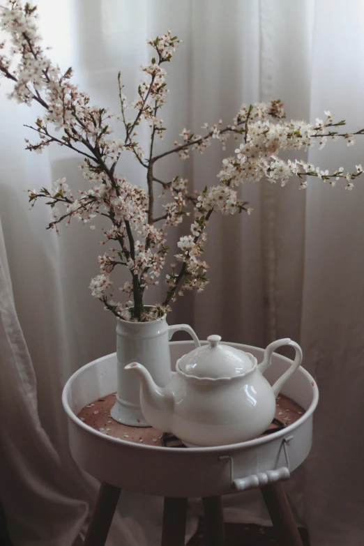 a white tea pot sitting on top of a table, a still life, by Lucia Peka, trending on unsplash, art nouveau, cherry blossom tree, low quality photo, decoration around the room, cottagecore!! fitness body