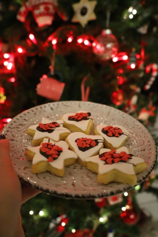 a person holding a plate of cookies in front of a christmas tree, inspired by Annabel Kidston, reddit, ladybugs, high quality photo, made of glazed, hearts