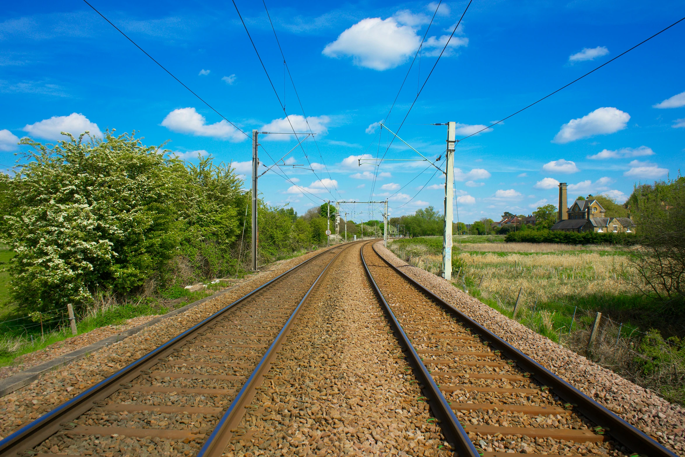 a train traveling down train tracks next to a lush green field, telephone wires, blue sky, getty images, midlands