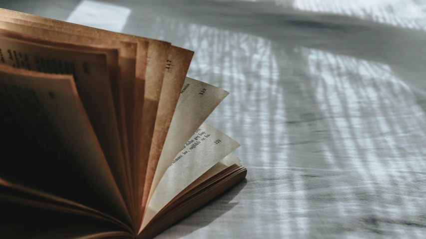 an open book sitting on top of a bed, by Ruth Simpson, trending on unsplash, private press, faded parchment, folded, sustainable materials, on a pale background