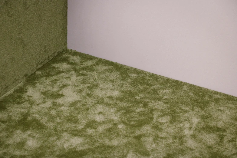 a green carpet in a corner of a room, inspired by Elsa Bleda, magic realism, mouldy juice, textured base ; product photos, platinum, camouflage
