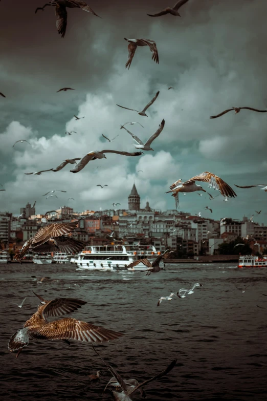 a flock of birds flying over a body of water, a colorized photo, by irakli nadar, pexels contest winner, istanbul, 🚿🗝📝, tropical coastal city, on a canva