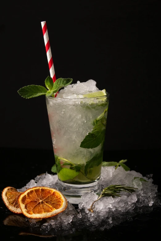 a drink sitting on top of a pile of ice, profile image, herbs, product shot, slush