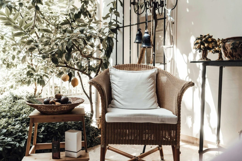 a wicker chair sitting in a living room next to a potted plant, inspired by Riad Beyrouti, pexels contest winner, garden with fruits on trees, desert white greenhouse, directoire style, warmly lit