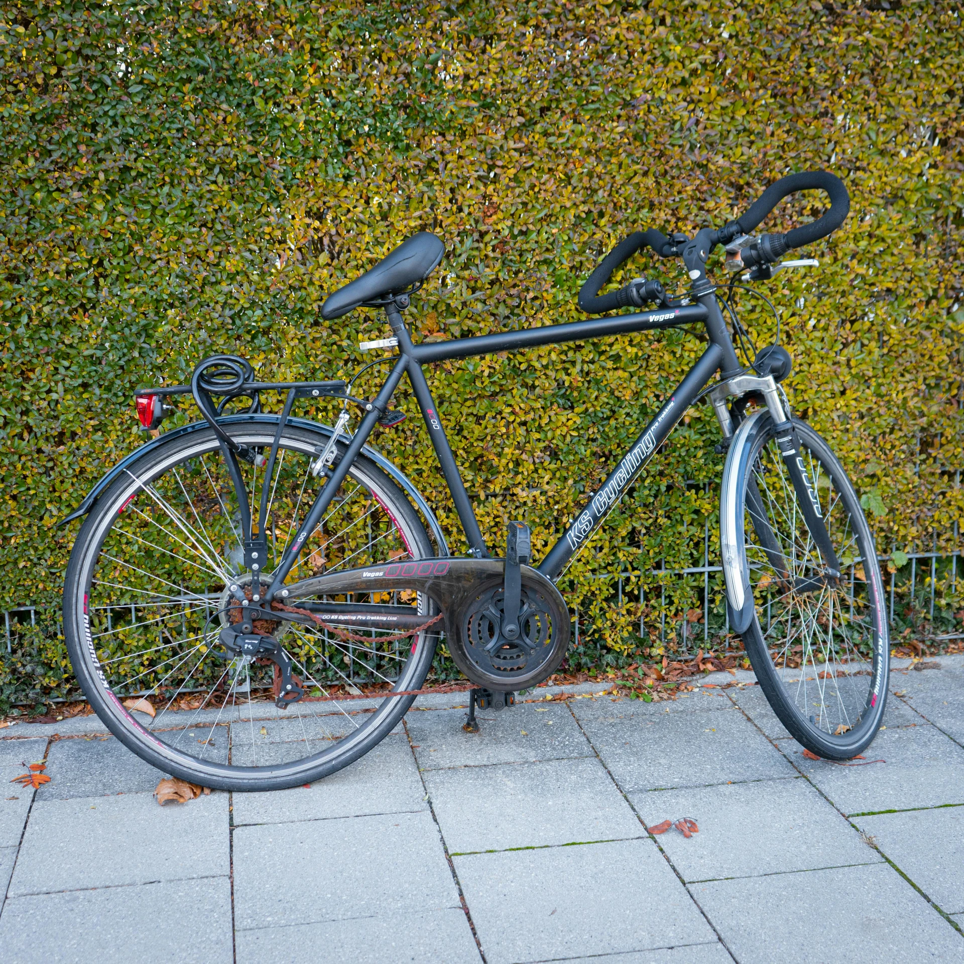 a bicycle parked on a sidewalk next to a hedge, by Niels Lergaard, pexels contest winner, replica model, thumbnail, touring, front side full