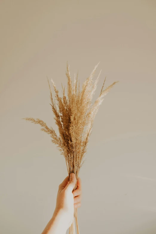 a person is holding some weeds up to the ceiling