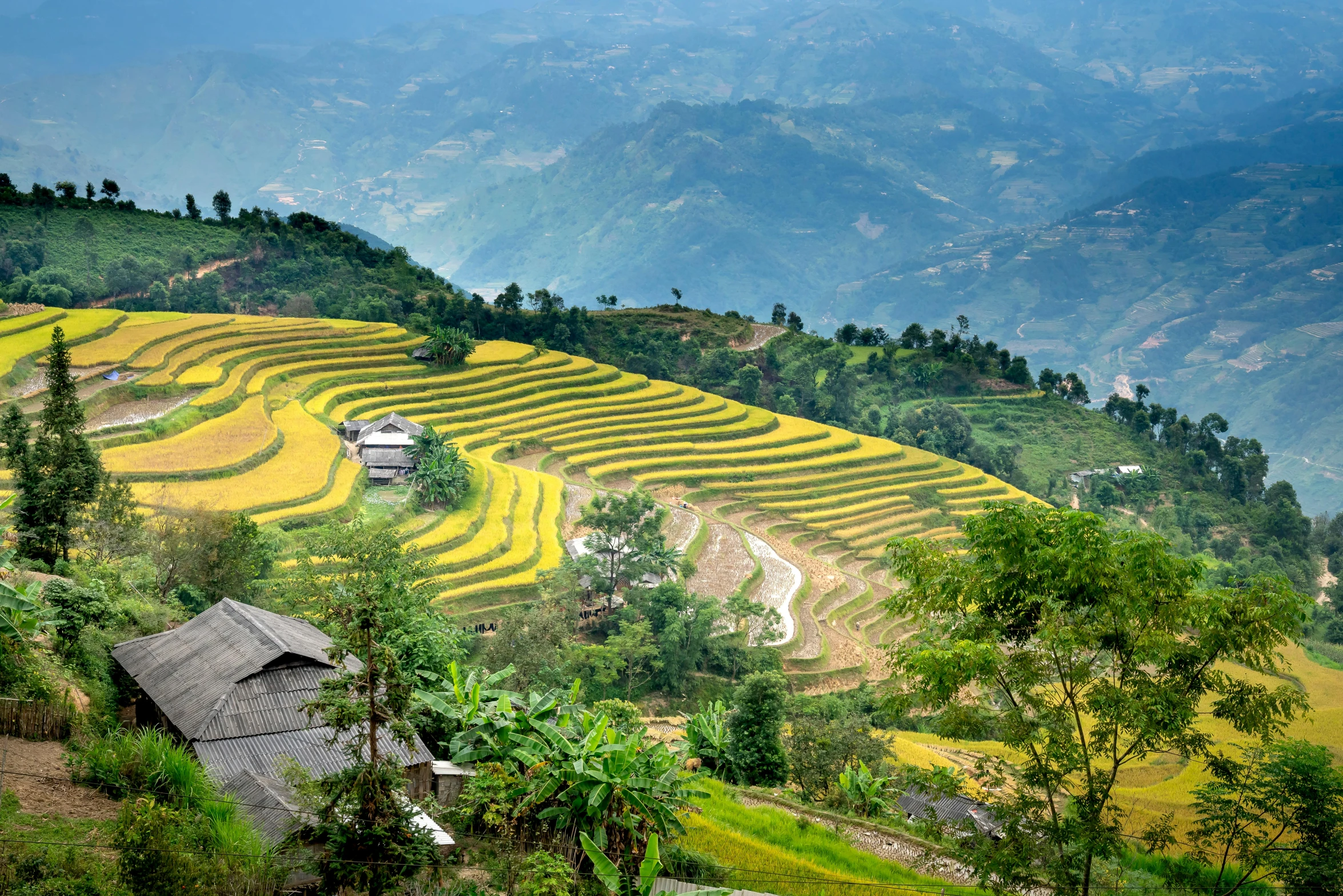 a house sitting on top of a lush green hillside, pexels contest winner, hurufiyya, vietnam war, immaculate rows of crops, full of golden layers, grain”