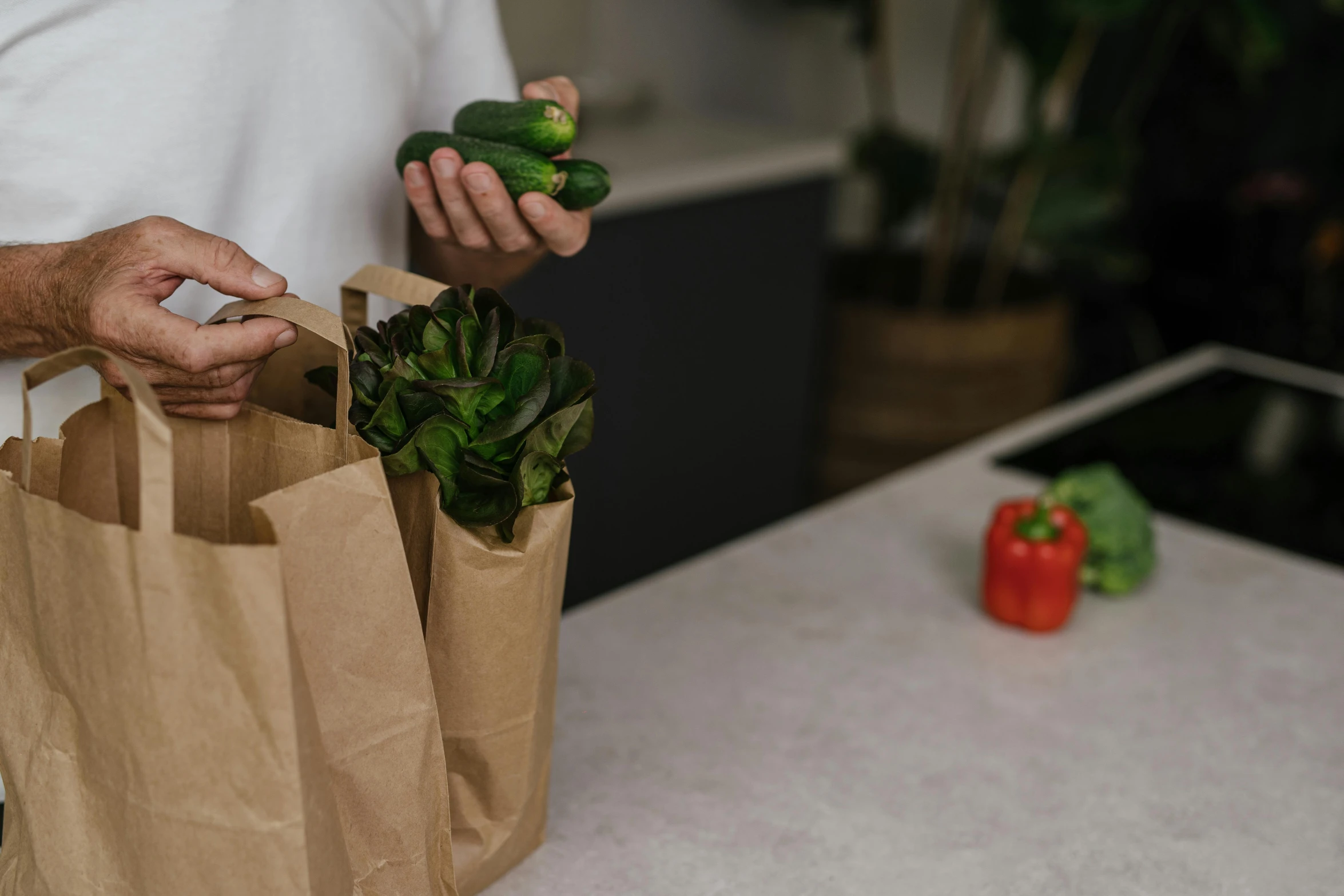 a man holding a paper bag full of vegetables, pexels contest winner, minimal kitchen, pots with plants, cucumbers, profile image