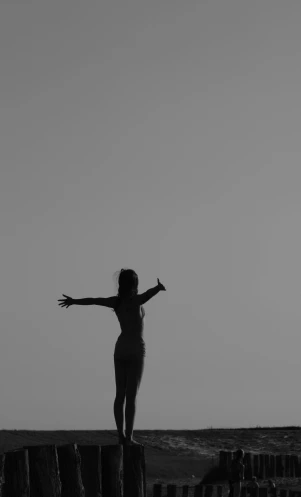a woman standing on top of a wooden fence, a statue, unsplash, conceptual art, bw photo, hands in air, outlined silhouettes, media photo