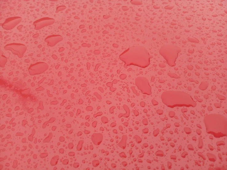 a close up of water droplets on a red surface, plasticien, pbr texture, red car, shades of pink, detailed product image