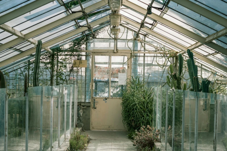 a greenhouse with a lot of plants inside of it, an album cover, unsplash, dry archways, glass obelisks, taken in the early 2020s, plant specimens