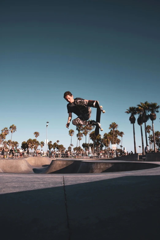 a man flying through the air while riding a skateboard, by Cam Sykes, unsplash contest winner, palm trees in the background, panoramic photography, 2 0 0 0's photo, steve zheng