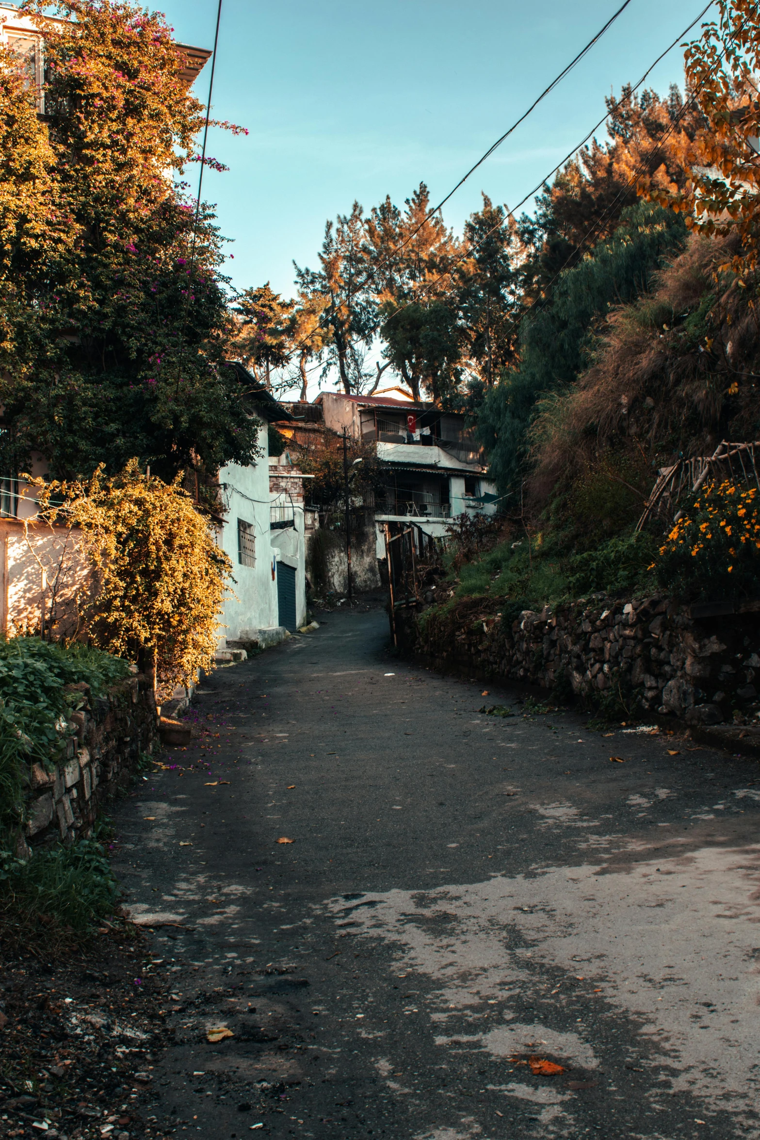 a red fire hydrant sitting on the side of a road, an album cover, inspired by Elsa Bleda, happening, assam tea garden setting, panorama view, built on a steep hill, back alley