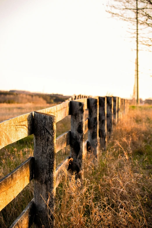 a split rail fence is close to a pasture with tall grass